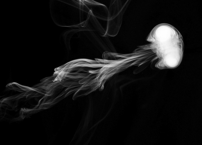 Illustration for article titled 82 Striking Photos of Smoke